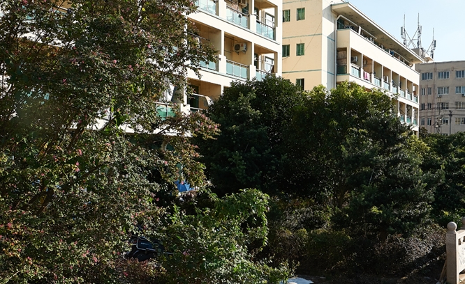 Corporate environment