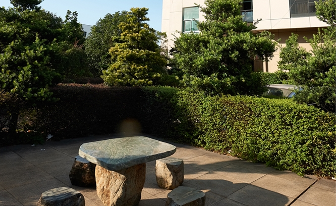 Corporate environment